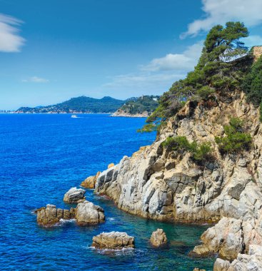 Yaz deniz kayalık sahil manzaralı kozalaklı ağaçlar (Catalonia, Costa Brava, İspanya).