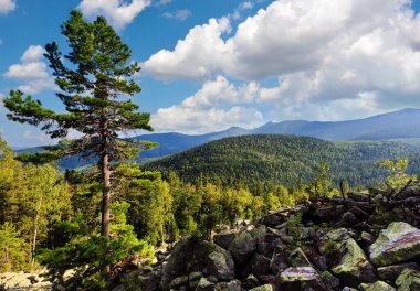 Karpat dağ yaz manzarası gökyüzü ve kümülüs bulutlar, çam ormanı ile slayt-kaya (Ihrovets, Ukrayna).