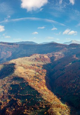 Autumn Carpathian Mountains landscape with multicolored trees and village outskirts on slope (view from Rakhiv pass, Transcarpathia, Ukraine). clipart