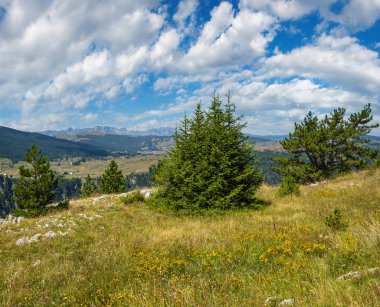 Durmitor Milli Parkı'ndaki Tara Kanyonu'nun pitoresk yaz lık manzara, Karadağ, Avrupa, Balkanlar Dinarik Alpleri, Unesco Dünya Mirası.