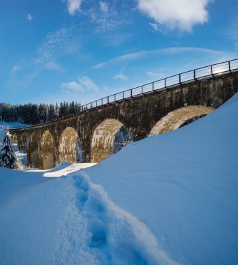 Demiryolu üzerindeki taş viyadük (kemer köprüsü) dağ karlı köknar ormanı boyunca. Karlar yol kenarına sürükleniyor ve ağaçlarda donuyor..