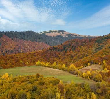 Sonbahar sabahı Karpat Dağları sakin resim sahnesi, Ukrayna. Huzurlu seyahat, mevsimlik, doğa ve kırsal güzellik konsepti.