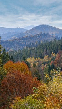 Morning foggy clouds in autumn mountain countryside.  Ukraine, Carpathian Mountains, Transcarpathia. Peaceful picturesque traveling, seasonal, nature and countryside beauty concept scene. clipart