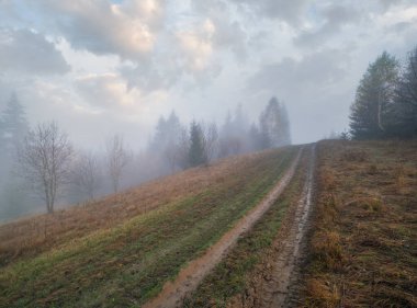 Sisli sonbahar dağ gündoğumu sahnesi. Huzurlu manzaralı seyahat, mevsimsel, doğa ve kırsal güzellik konsepti.