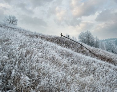 Kış geliyor. Sonbaharın sonlarına doğru, çimlerde, ağaçlarda ve yamaçlarda kırağı olan gündoğumu öncesi resimli bir manzara. Bulutlu gökyüzünden barışçıl güneş ışınları. Ukrayna, Karpat Dağları.