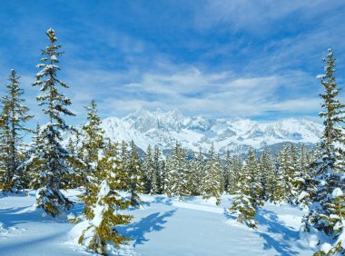 Kış dağ köknar snowy orman manzarası (üst papageno Bahn - filzmoos, Avusturya)