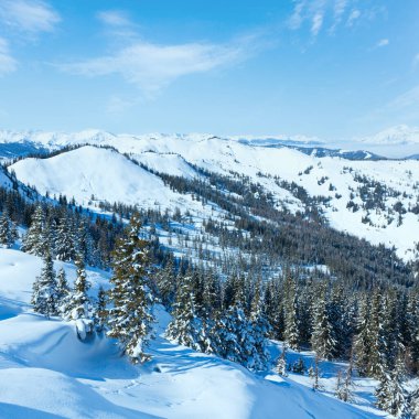 dağ manzarası ile yamaç (hochkoenig bölge, Avusturya karlı çam ağaçları kış)