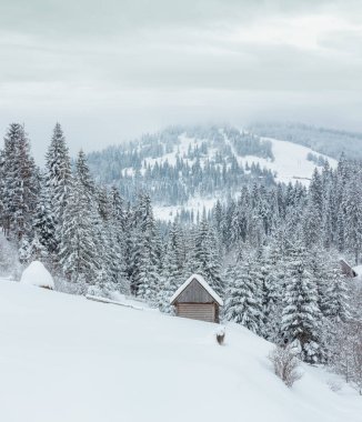 Ukrayna Karpat Dağları 'nın kış yamacında, bulutlu bir havada ahşap kulübe ve karlı köknar ağaçları. İki dikiş görüntüsü.