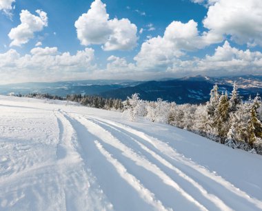Sabah kış dağ manzarası güzel süs ağaçları ile sakin ve parça snowdrifts aracılığıyla kayak dağ yamacında (Karpat Dağları, Ukrayna)