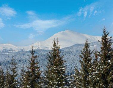 Picturesque winter mountain view from Skupova mountain slope, Ukraine, view to Chornohora ridge and Pip Ivan mountain top with observatory building, Carpathian. clipart