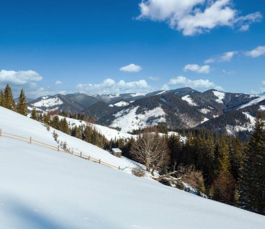 Winter morning picturesque mountain hill top with farmstead snow covered and some withered windbreak trees (Ukraine, Carpathian Mountains, tranquility peaceful Dzembronya village rural outskirts) clipart