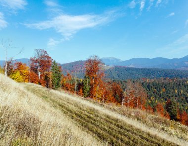 (İle renkli ağaçlar) sabah sonbahar yamaçları Karpatlar (Yablunytskyj Pass, Ivano-Frankivsk oblast, Ukraine). Gorgany Sıradağları üzerinde göster.