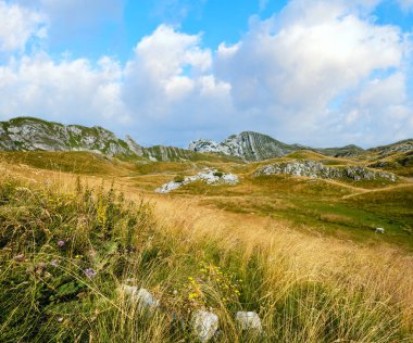 Durmitor Milli Parkı Pitoresk yaz dağ manzara, Karadağ, Avrupa, Balkanlar Dinaric Alpler, Unesco Dünya Mirası. Durmitor panoramik yol, Sedlo geçidi.