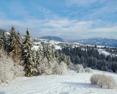 sakin dağ manzarası in Rime'ı ile kış ve kar kaplı çam ağaçları ve kayak pisti