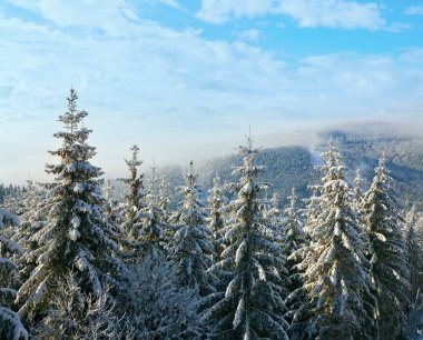 Kayak Kış hazy sakin dağ manzarası ve bukovel resort, Ukrayna.