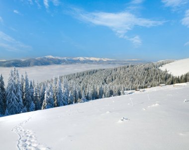 Kayak pistlerine (Bukovel Kayak Merkezi (Ukrayna) Svydovets Ridge görünümünden ile kış sakin dağ manzarası)