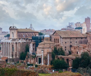 Antoninus Tapınağı ve Roma, Roma Forumu Faustina.