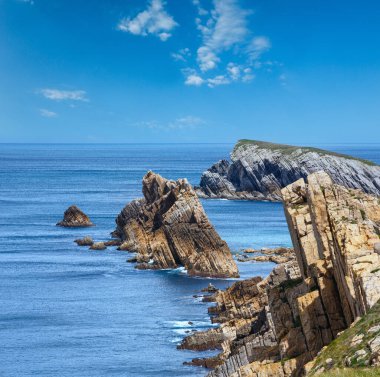 Arnia Beach (İspanya). Atlantik Okyanusu kayalık sahil şeridi de Santander, Cantabria, İspanya.