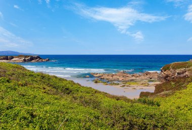 Yaz çiçek açması Atlantik kıyı şeridi manzara pembe çiçekli (Los Castros beach, İspanya).