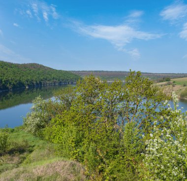 Dnister Nehri Kanyonu 'nun muhteşem bahar manzarası. Resimli kayalar, tarlalar, çiçekler. Shyshkovi Gorby, Nahoriany, Chernivtsi bölgesi, Ukrayna.