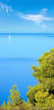 Sabah yaz Ege kıyı şeridi (Nikiti, Sithonia, Halkidikya, Yunanistan).