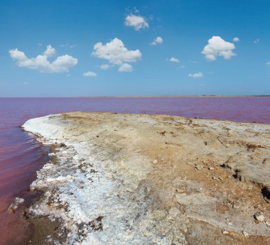 Son derece tuzlu Syvash Gölü kristal tuz ifadeleri ile mikroalg tarafından renkli, pembe. Olarak da bilinen Putrid deniz veya Rotten deniz. Ukrayna, Kherson Region, Crimea ve Arabat tükürük.