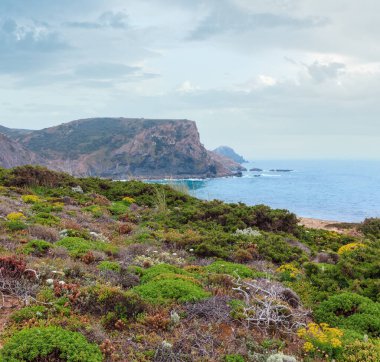 Atlantik kayalık sahil görünümü, Aljezur, Algarve Batı, çiçek açması yaz Costa Vicentina, Portekiz.