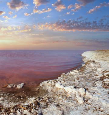 Son derece tuzlu Syvash Gölü kristal tuz ifadeleri ile mikroalg tarafından renkli, pembe. Olarak da bilinen Putrid deniz veya Rotten deniz. Ukrayna, Kherson Region, Crimea ve Arabat tükürük.