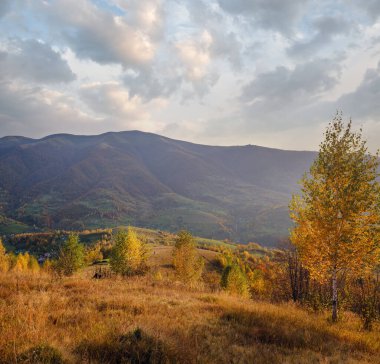 Sonbahar sabahı Karpat Dağları sakin resim sahnesi, Ukrayna. Huzurlu seyahat, mevsimlik, doğa ve kırsal güzellik konsepti.