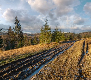 Sonbahar dağı sabah sahnesi. Huzurlu manzaralı seyahat, mevsimsel, doğa ve kırsal güzellik konsepti.