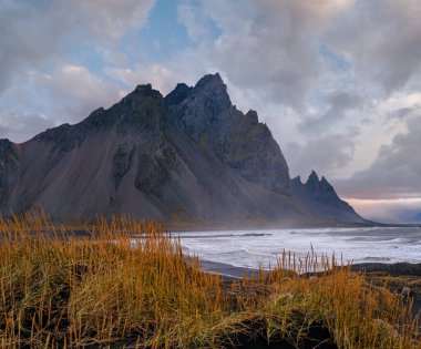 Sunrise Stoksnes Cape Sahili ve Vestrahorn Dağı, İzlanda. İnanılmaz doğa manzarası, popüler seyahat yerleri. Siyah volkanik kum tepelerinde sonbahar otları.