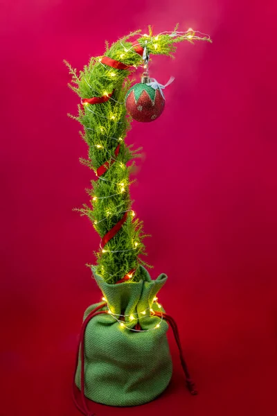 close up of a cute but sad christmas tree with led lights and one single ornament on a red background