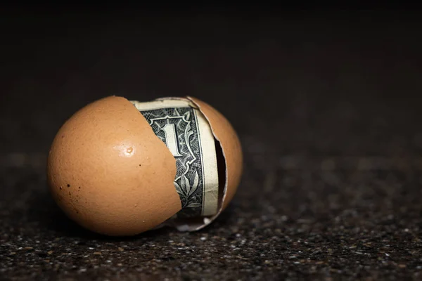 Concept Image Using Dollar Bill Cracked Egg — ストック写真