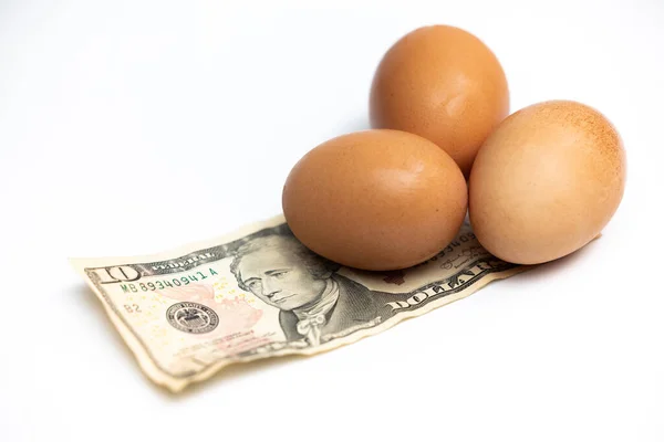 Dolarlık Banknotun Üstüne Beyaz Arka Planda Taze Yumurta — Stok fotoğraf