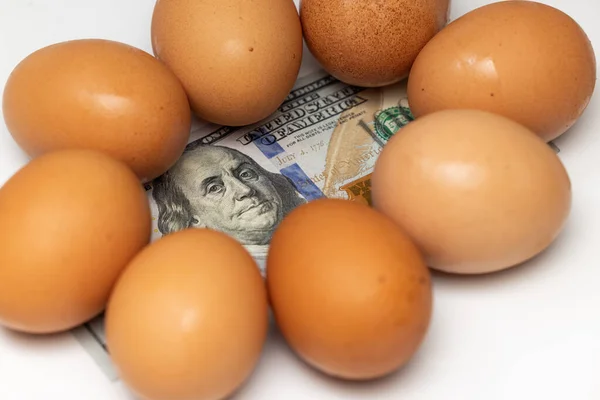 Beyaz Arka Planda 100 Dolarlık Banknotun Üstüne Taze Yumurta — Stok fotoğraf