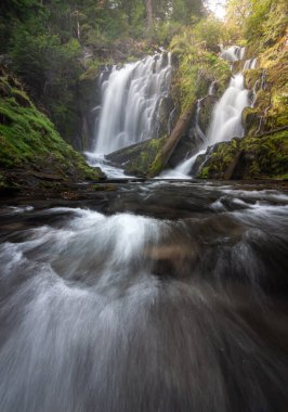 Güney Oregon şelalelerinde yeşil yosun ve bitki örtüsü çerçeveli güzel şelale, National Creek Şelalesi