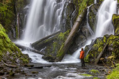 Oregon ormanında büyük ve güzel bir şelalenin önünde duran turuncu ceketli bir yürüyüşçü.