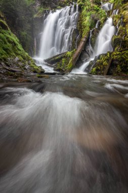 Güney Oregon şelalelerinde yeşil yosun ve bitki örtüsü çerçeveli güzel şelale, National Creek Şelalesi