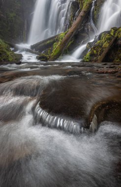 Güney Oregon şelalelerinde yeşil yosun ve bitki örtüsü çerçeveli güzel şelale, National Creek Şelalesi