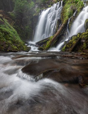 Güney Oregon şelalelerinde yeşil yosun ve bitki örtüsü çerçeveli güzel şelale, National Creek Şelalesi