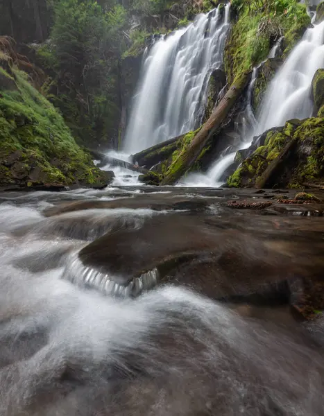 Güney Oregon şelalelerinde yeşil yosun ve bitki örtüsü çerçeveli güzel şelale, National Creek Şelalesi