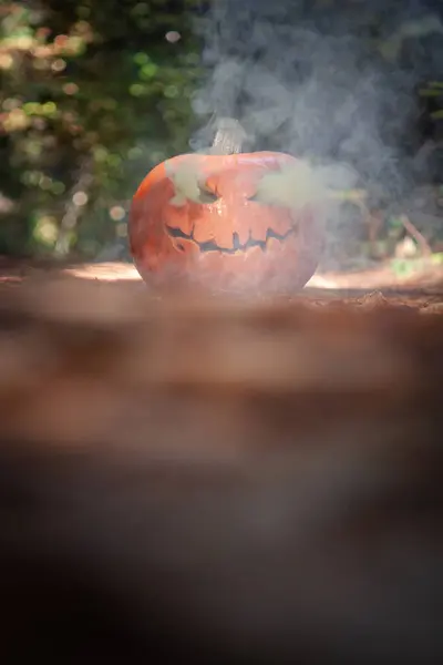 Cadılar Bayramı Için Oyulmuş Bir Balkabağını Kapayın Doğal Orman Ortamında — Stok fotoğraf