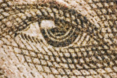 Kosta Rika 'dan gelen eski bir kağıt para banknotunun aşırı yakın plan resmi, 50 colon kağıt banknotunun yerini bir yıl önce bir madeni para aldı..