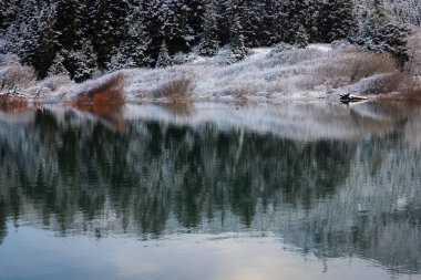 Hunter Creek ve Snow ile altın plajındaki güzel sakin manzara, 24 Şubat 2023 'te meydana gelen ender bir hava olayı..