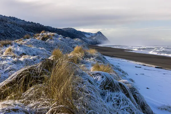 Gold Beach Oregon Güneyinde Şubat 2023 Teki Kış Fırtınasından Sonra — Stok fotoğraf