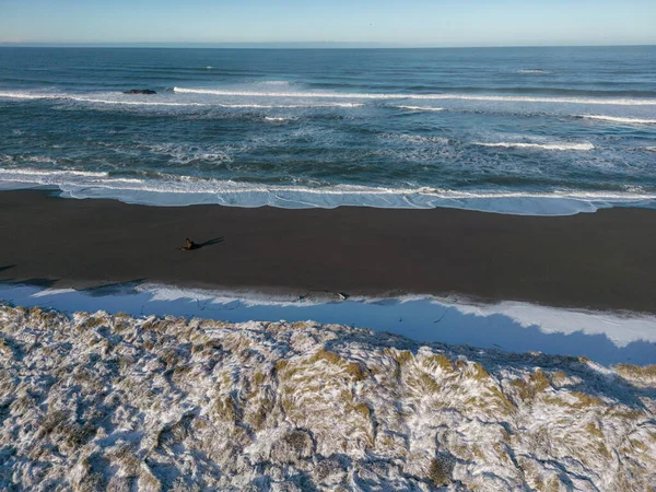 Strand Van Zuid Oregon Bedekt Met Sneeuw Een Zeldzame Winterstorm — Stockfoto