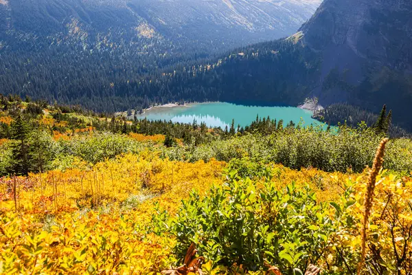 Piękne Jezioro Grinnell Montanie Jesiennymi Kolorami Lesie — Zdjęcie stockowe