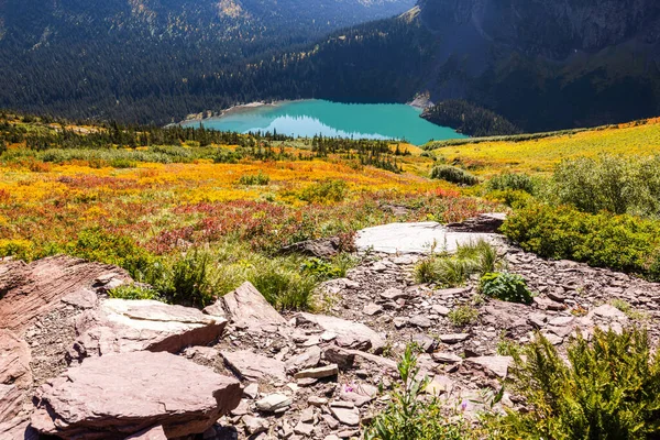 森の秋の色とモンタナの美しいグリネル湖 — ストック写真
