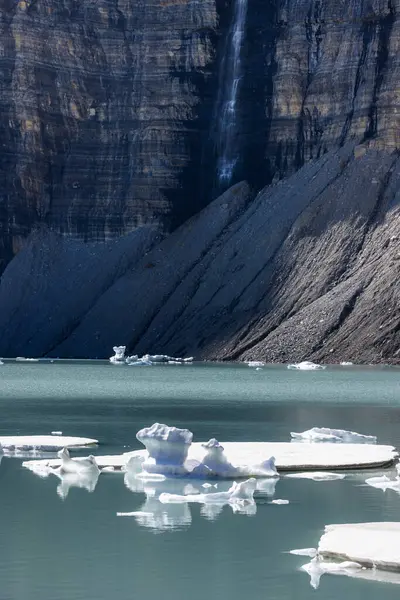 Παγόβουνα Επιπλέουν Στην Άνω Grinnell Λίμνη Παγετώνα Εθνικό Πάρκο Montana — Φωτογραφία Αρχείου