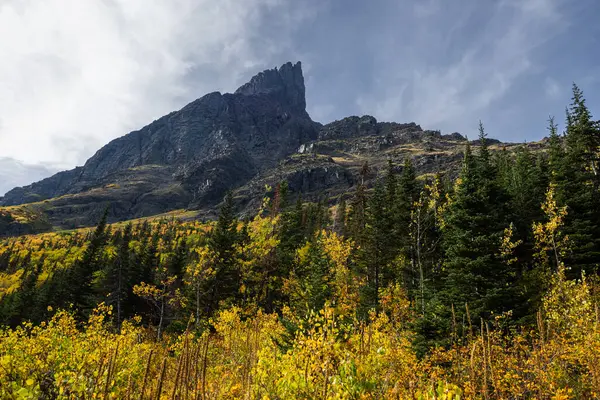 Zoubkované Vrcholy Hor Podzimními Barvami Nalezené Túře Ledovci Grinnel Montaně — Stock fotografie
